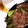くみちょ～～'s cooksnap of when they made わさびじょうゆの和風ステーキ丼.