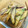 背番号３'s cooksnap of when they made シンプル＊みょうがのバター炒め.