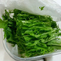ami-rarara's cooksnap of when they made 水菜の新鮮保存法.
