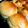 バニラとソラ's cooksnap of when they made イギリスパン生地で作る甘い豆パン.