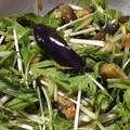 rukoyon's cooksnap of when they made 簡単☆茄子と水菜と新生姜のピリ辛和え.