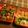 ノイママ's cooksnap of when they made ☆小学校 運動会のお弁当☆2016.