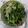 イチゴ、イチゴ。's cooksnap of when they made さっぱり豆苗おろし.
