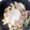 ナピト's cooksnap of when they made さっぱり大根おろしすき焼き〜♪.