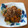 ジャスミンますみん's cooksnap of when they made 簡単かぼちゃのそぼろ煮〜ダシとみりん不要.