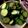 クックA5KTLC☆'s cooksnap of when they made ☆簡単♪♪きゅうりの塩昆布あえ☆.
