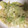 まちょきちくん's cooksnap of when they made 簡単☆キャベツとしらすの炒め物.