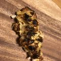 たらさん♪'s cooksnap of when they made 鮭のタルタルソース焼き.