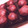 クックUBDJX3☆'s cooksnap of when they made ☆　白玉で簡単　さくらんぼおはぎ　☆.