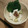 きっちんdeビール's cooksnap of when they made たたき長いもと枝豆の梅肉あえ.