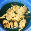 めいぷるhoney's cooksnap of when they made 砂肝のポン酢ニンニク醤油漬け.