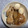ekrammy's cooksnap of when they made 冬瓜と鳥手羽とたまごの煮物.