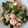☆うさきちさん☆'s cooksnap of when they made ピーマンと豚肉の炒め煮.