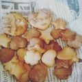 こたろう５５'s cooksnap of when they made アレルギっ子のための☆サクサククッキー.