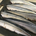 papikun's cooksnap of when they made ～秋刀魚の下処理のやり方～.