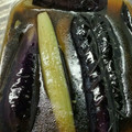 チジミちゃん's cooksnap of when they made 朝採り秋ナスのつやつや煮びたし.