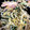 CS555's cooksnap of when they made 冷蔵庫の残り野菜で節約♪もやしの卵とじ★.