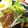 クックLPVS1W☆'s cooksnap of when they made 豚肉とナスのカリジュワ甘辛炒め.