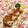 なつき☆ミ's cooksnap of when they made 鶏肉とこぶおろし♪りんごソース和え.