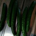 クックBNQ5PD☆'s cooksnap of when they made 【龍愛】きゅうりの保存方法＋選び方.
