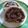 くずぴー's cooksnap of when they made 10分でミニ一六タルト.