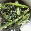 まあこ0720's cooksnap of when they made 大根葉っぱできんぴら.