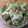 さかなぷりん's cooksnap of when they made 超簡単！切干し大根のサラダ.