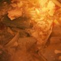 らーてぃん's cooksnap of when they made 鮭と濃厚あらごしトマトのミネストローネ.