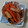 イチゴ、イチゴ。's cooksnap of when they made 魚肉ソーセージとにんじんのウスター炒め.