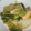 shaanti's cooksnap of when they made 白菜ときのこの重ね蒸し！.