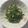 カミーユ クローデル's cooksnap of when they made ごま香る！若芽ひじきのツナ和え＊.