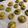 スキママ's cooksnap of when they made 簡単20分おやつ抹茶そば粉の絞りクッキー.