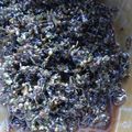 しろねこにやん's cooksnap of when they made しその実の佃煮.