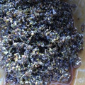 しろねこにやん's cooksnap of when they made しその実の佃煮.
