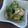 ゆかみちこ's cooksnap of when they made バンバンジー風 やみつきササミ.