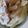 あゆたっくん's cooksnap of when they made 吉野家風豚丼.