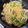 m0110's cooksnap of when they made 菜花と牛肉の和風ペペロンチーノ♪.