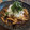 なななななおちん's cooksnap of when they made たっぷりきのこの和風おろしハンバーグ☆.