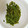 黒豆丸's cooksnap of when they made 生めかぶの食べ方・簡単下処理・保存方法.