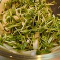 あゆたっくん's cooksnap of when they made ★梅干しを使った梅ドレッシング★.