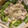 いくぴりん's cooksnap of when they made せいろ蒸し10分☆鶏もも肉のねぎ塩だれ.