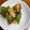 ｂｕｔａｔａｍａ's cooksnap of when they made ＊鶏ひき肉と大葉のはんぺんふわふわ焼き＊.