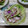 みさんがパパ's cooksnap of when they made 茹でタコとみょうがの小鉢.