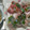 りよんじゃ's cooksnap of when they made 超簡単！ベトナムで習った★生春巻きのタレ.