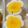 ★なみ☆'s cooksnap of when they made 竹串でお花のゆで卵＊キャラ弁おかずに＊.