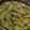 maron1120's cooksnap of when they made 和風ダレ☆ピーマンの肉詰め.