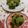 フリージア♬'s cooksnap of when they made 青汁入りマフィン.