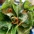 ぐにゅまる's cooksnap of when they made うちのしそキムチ.