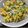 クック5YTKYD☆'s cooksnap of when they made 豆苗とカニカマのサラダ.