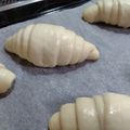 まめたん's cooksnap of when they made クラックロール.